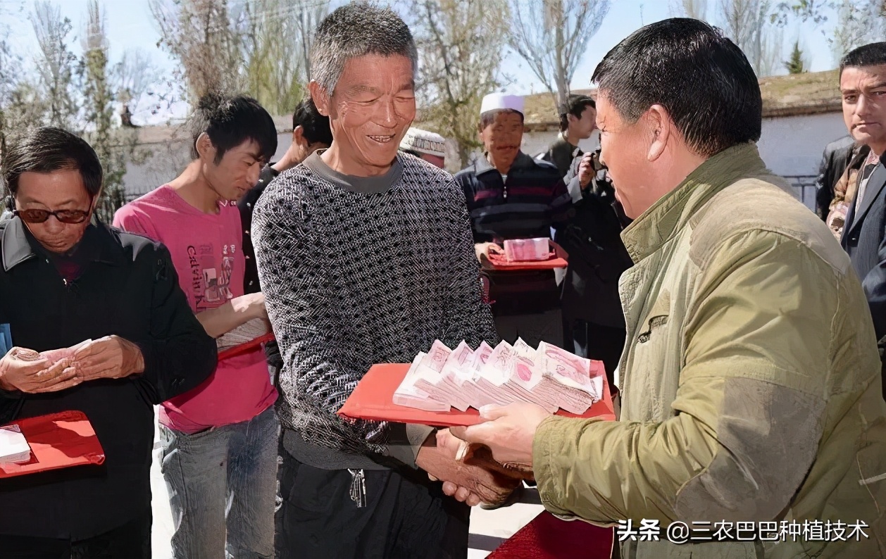 农民怎么领取国家补助,国家补贴的钱一直没到怎么办