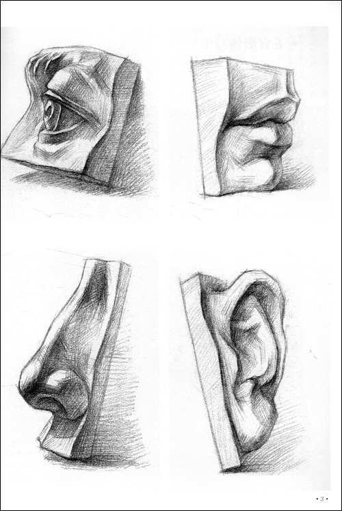 石膏画初学者教程,石膏怎么画素描初学者