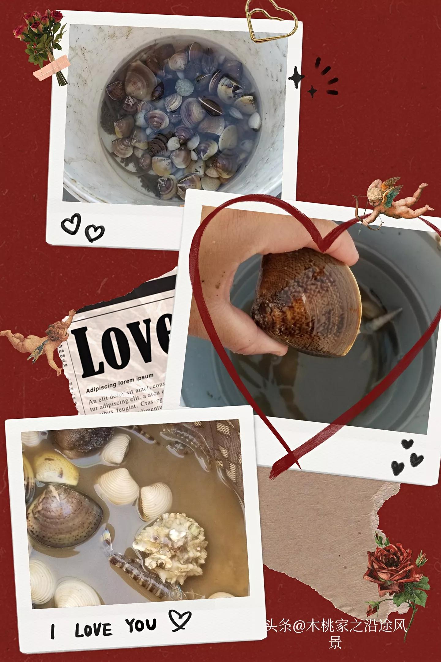 东平赶海沙滩,东平赶海最佳地方