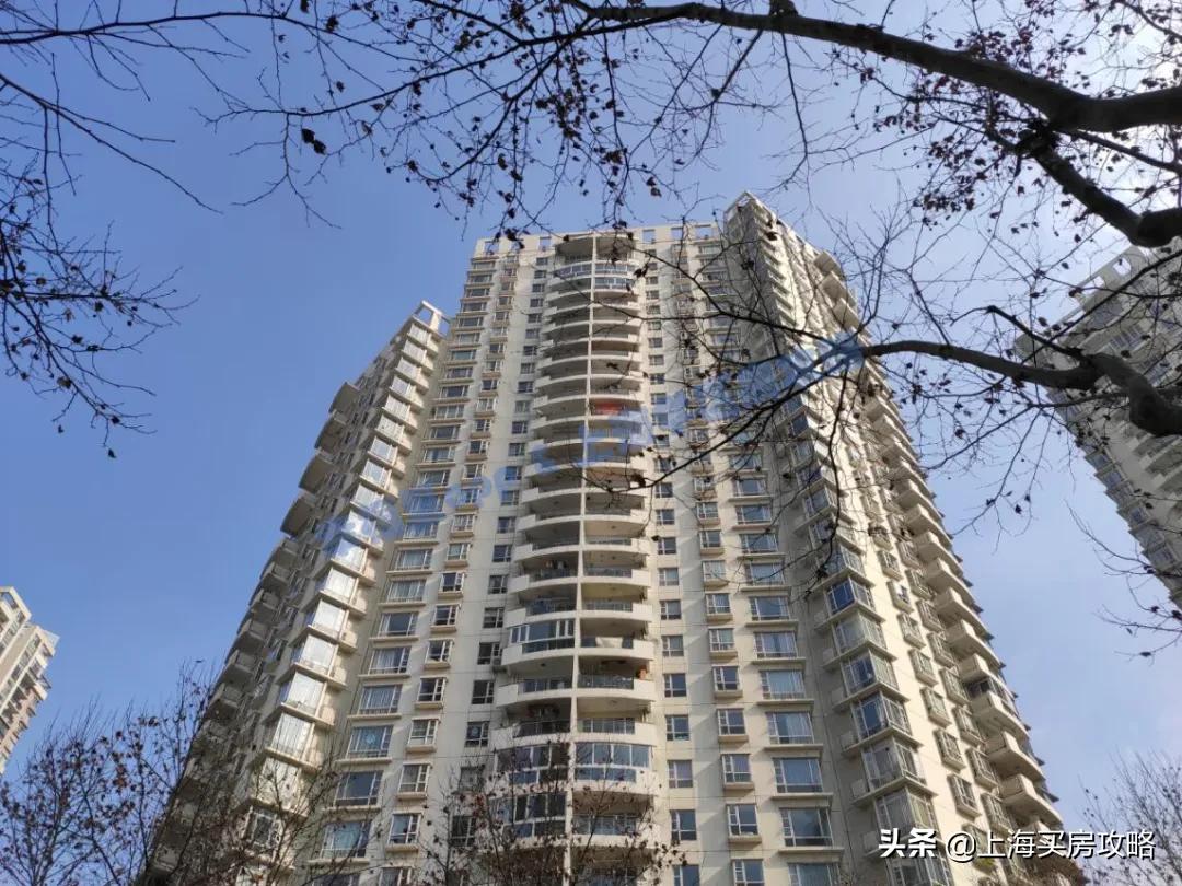 上海洋泾菊园实验学校录取率,洋泾菊园实验学校最新评价