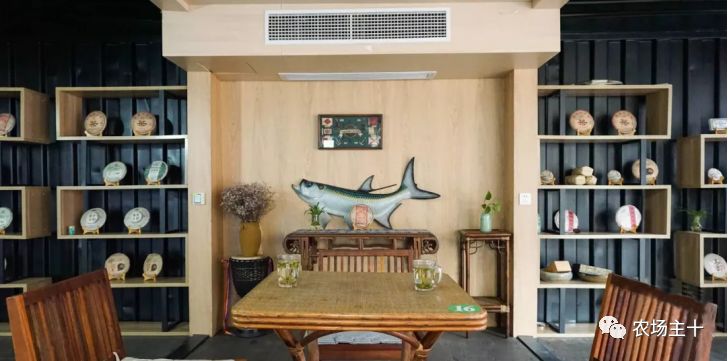 特色集装箱农场,集装箱打造农场建筑