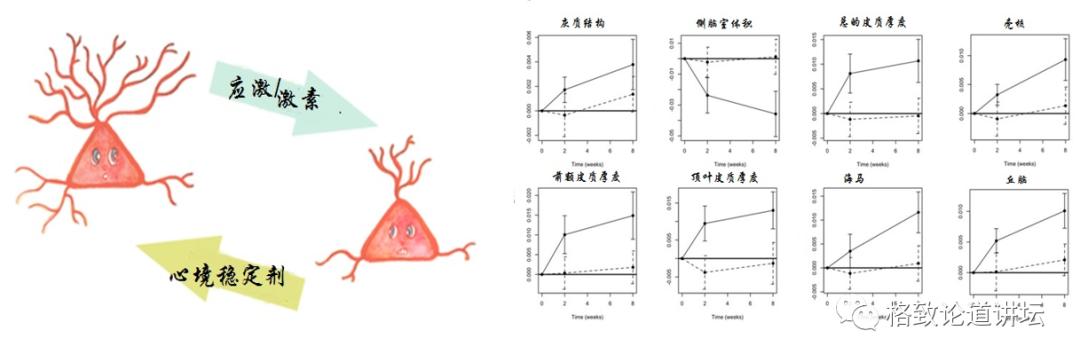 躁郁症心情转变原因,躁郁症的五大征兆和四大对策
