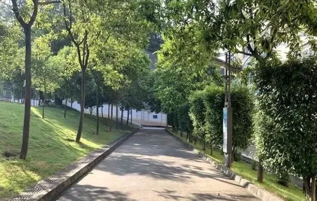 东莞东华高考状元第一名,广东东莞状元郎