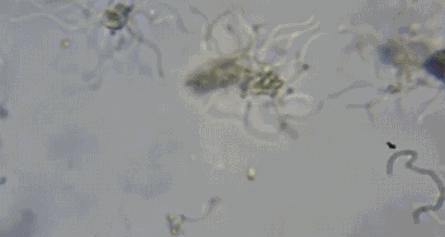 提升厨房舒适度的好物,厨房升级5样高级货幸福感倍增