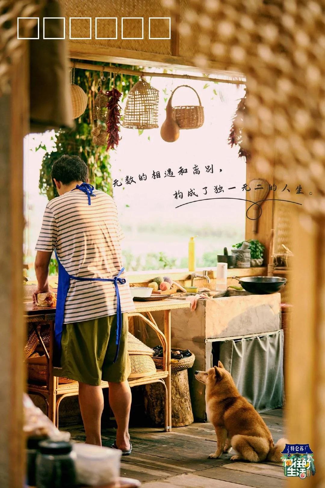 向往的生活1-6季文案,向往的生活一屋两人三餐四季文案