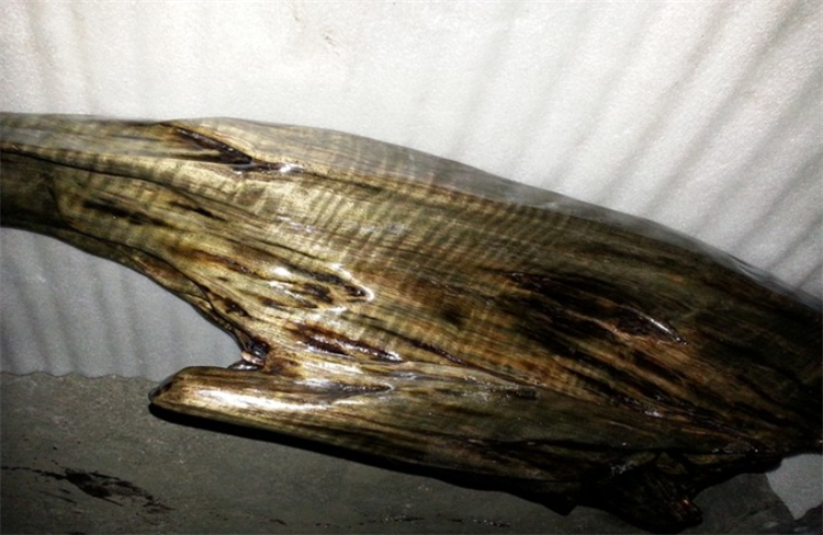 碳化金丝楠木阴沉木,金丝楠木与金丝楠阴沉木区别