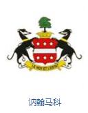 英格兰队徽壁纸,英格兰队徽图片蓝锁