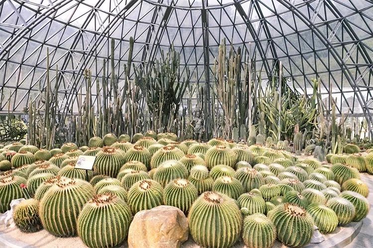 深圳吃喝玩乐两日游推荐,深圳周边游吃喝一日游推荐