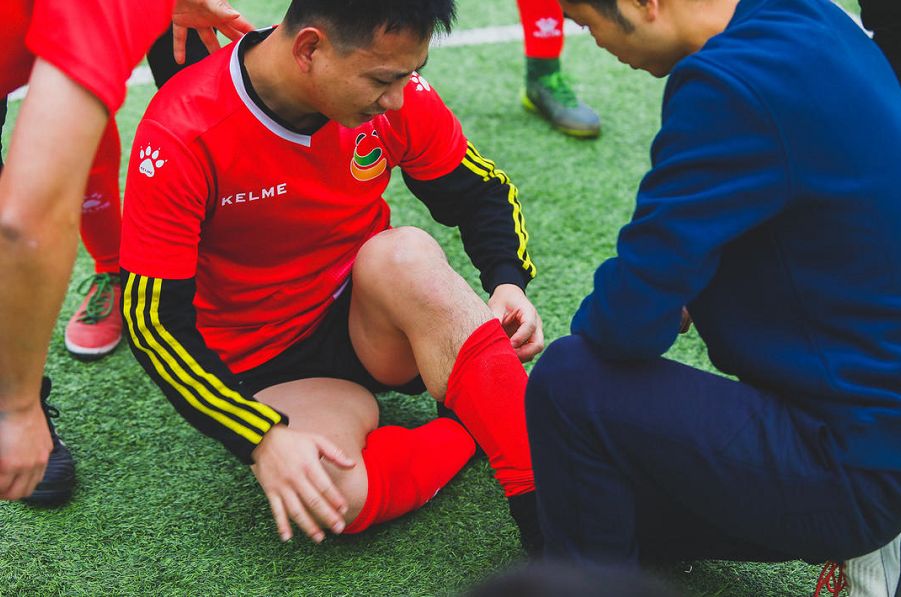 成都文旅熊猫馆直播,成都文旅官方直播