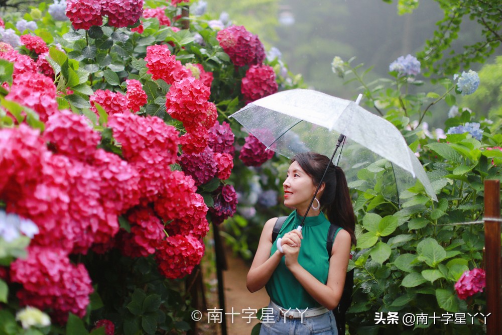 好看的韩剧推荐釜山行,釜山推荐景点打卡攻略图