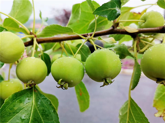 “财”看高考⑤丨亲子游、主题自驾游,考后旅游玩法多