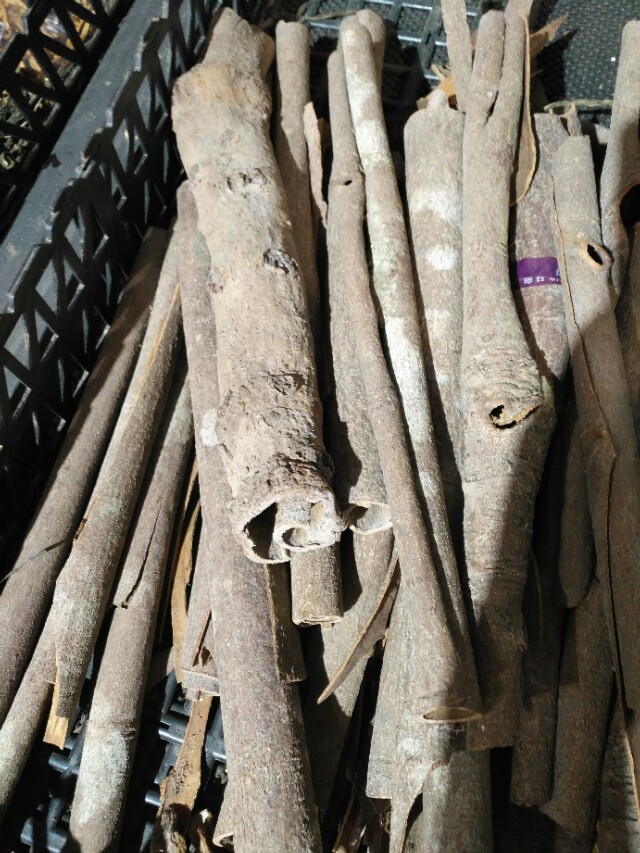 学习中药学的兴趣和感悟,中药学学习心得3000字