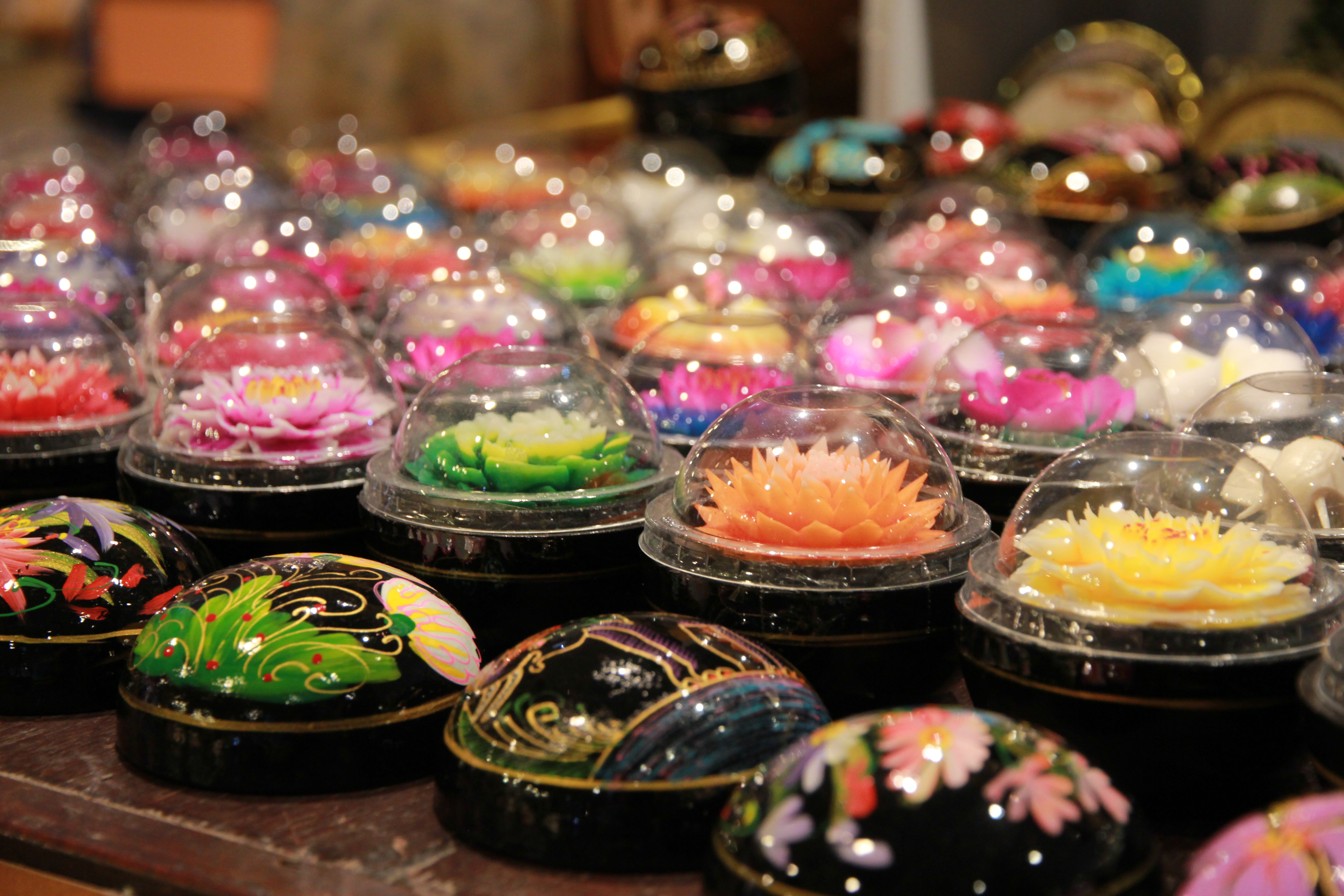 在普吉岛浮潜拍到的美妙海底世界 (普吉岛cape panwa hotel浮潜)