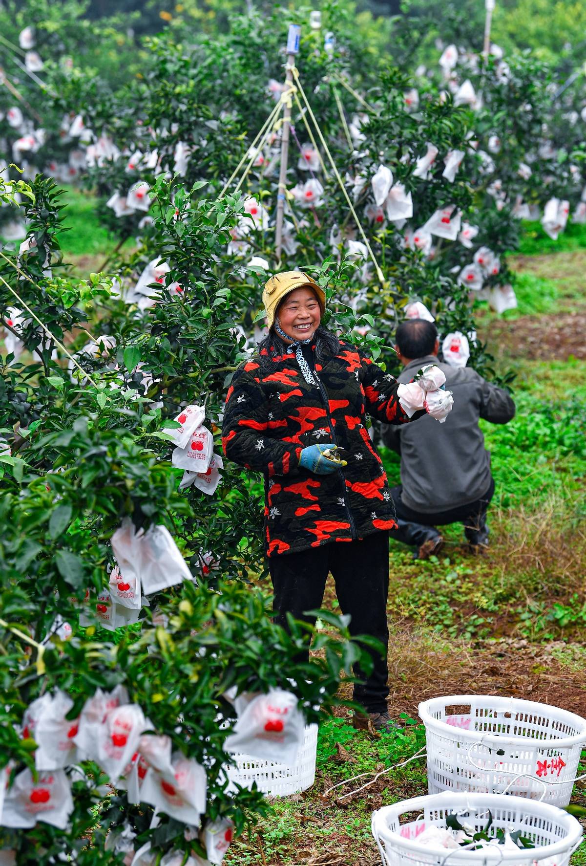 家乡好物直播江西,家乡好物山东卫视直播