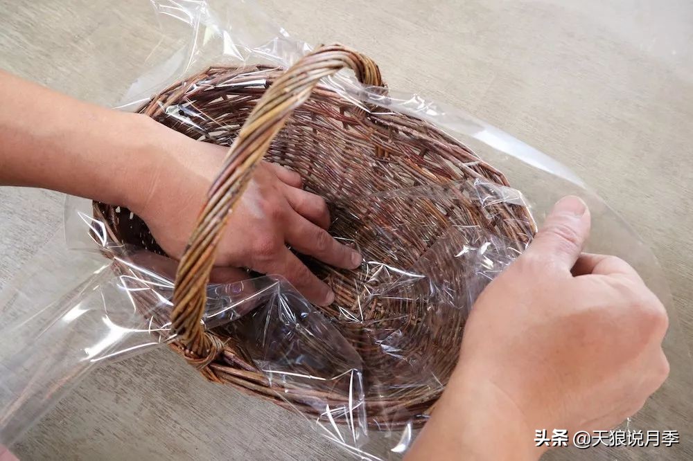 三色堇花卉盆栽,四季开花盆栽三色堇