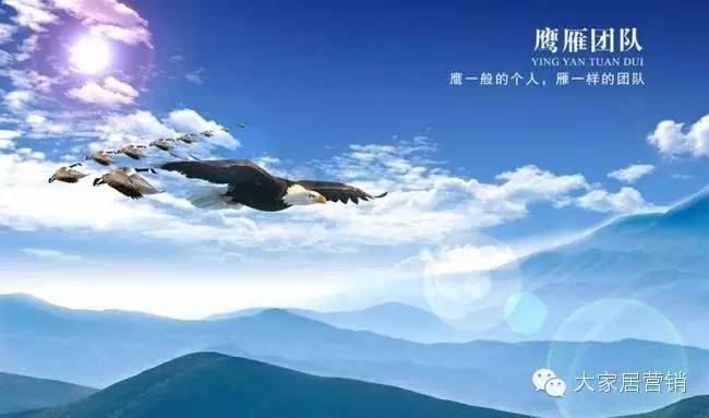 谭晓平谈执行力,如何打造一个向上的团队精神