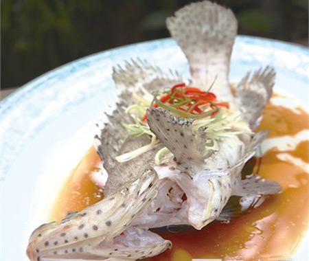 疲劳过度缺乏睡眠吃什么补充,睡眠不好容易疲劳吃什么