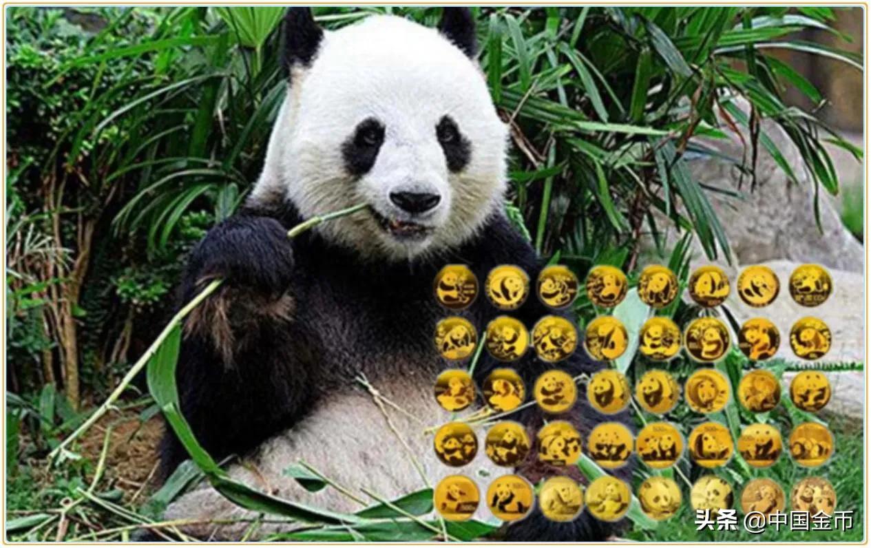 熊猫金币一套五枚多少克,一公斤熊猫金币大全