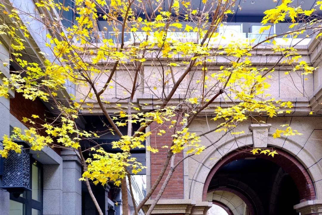 最值得去的小众打卡地,北京小众打卡地荣耀的绝美山顶