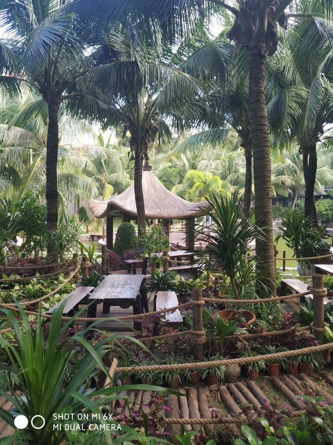 一家三口的第一次远行三亚之旅,带爸爸妈妈去三亚旅行攻略