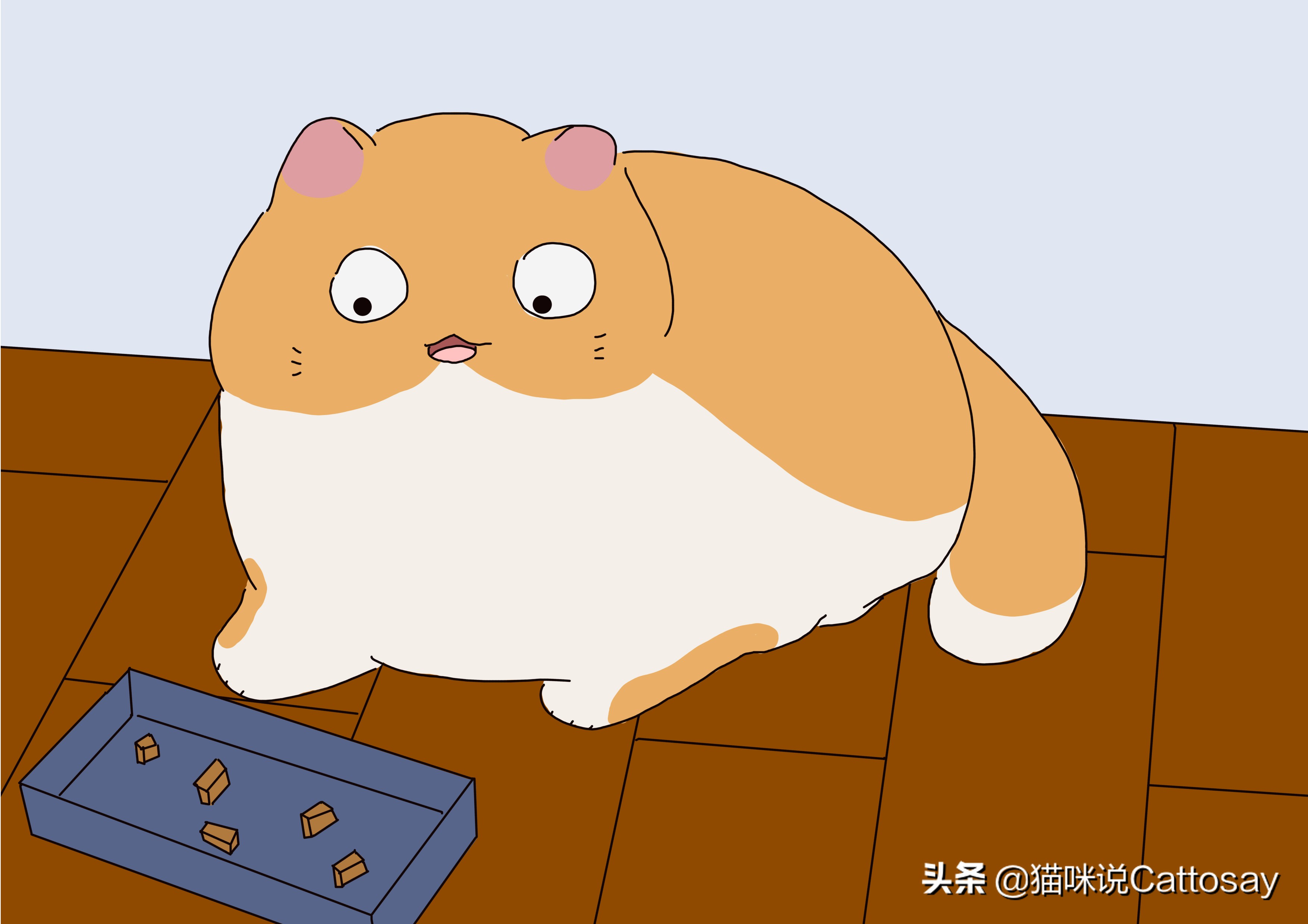 猫一天喂几次水最合适,猫一般喂几次正常一天