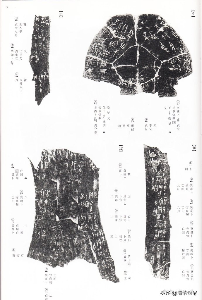 二玄社礼器碑字帖,甲骨文书法视频字帖