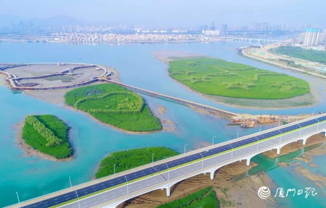 一年四季都暖和城市,厦门是一座四季如春的城市