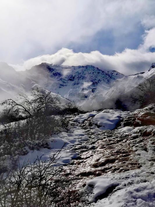 九寨沟一日游感悟,九寨沟和黄龙旅行美景