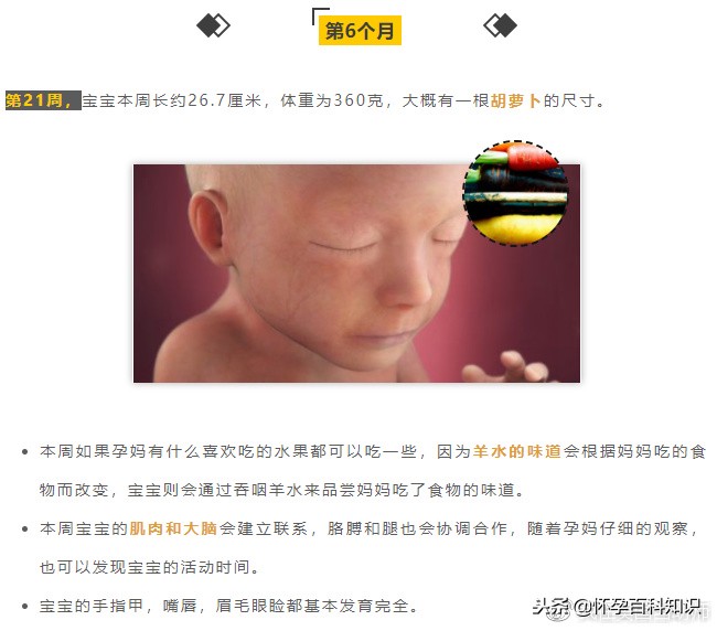 怀孕各个时期胎儿发育过程,怀孕的过程要几天