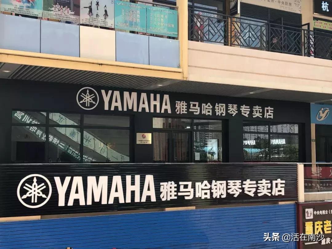 广州卓越雅马哈钢琴专卖店,雅马哈钢琴旗舰店价格表