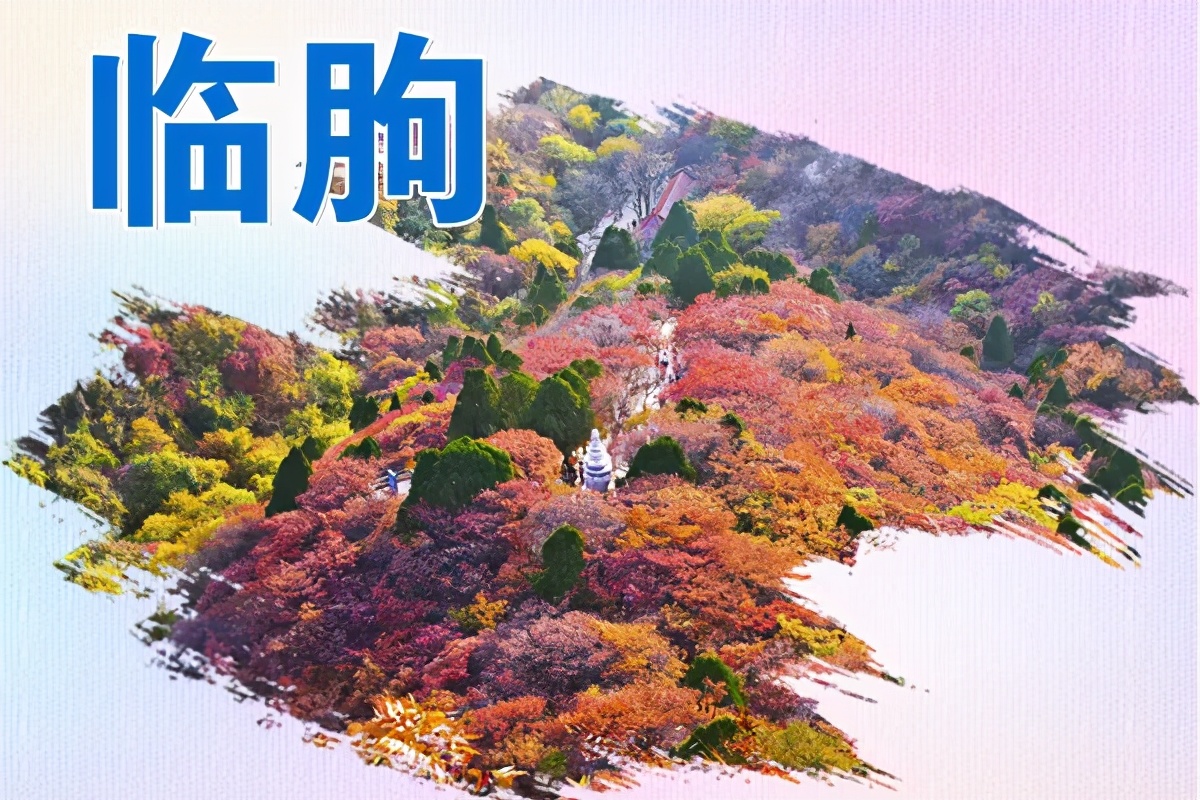 全民健身|5月潍坊市全民健身系列活动发布了