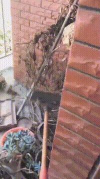 搞笑动图gif骂人,搞笑动图gif兔子