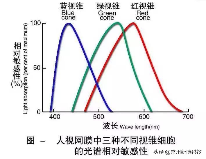 灰绿色的鞋子到底是什么颜色,灰绿粉白鞋子实际是什么颜色