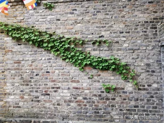 阴阳井之谜,揭开天干地支的秘密