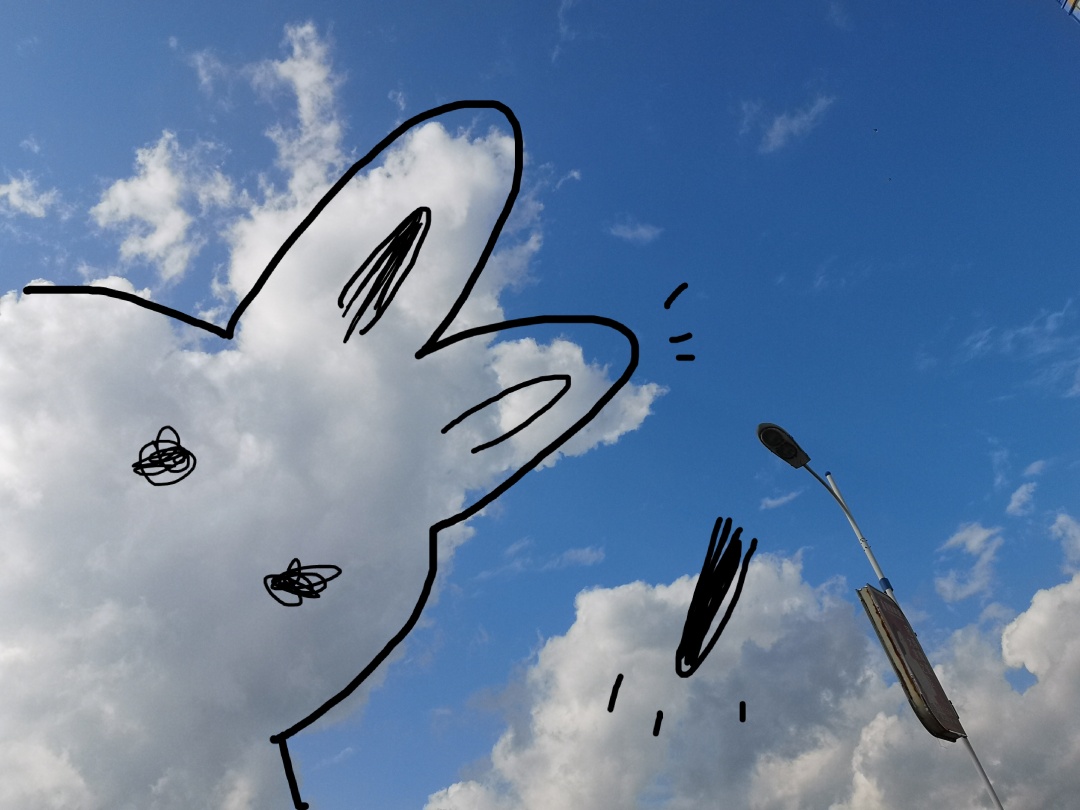 在森林书店的日子,在森林里看书的女孩