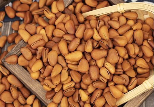 开口松子,东北开口松子