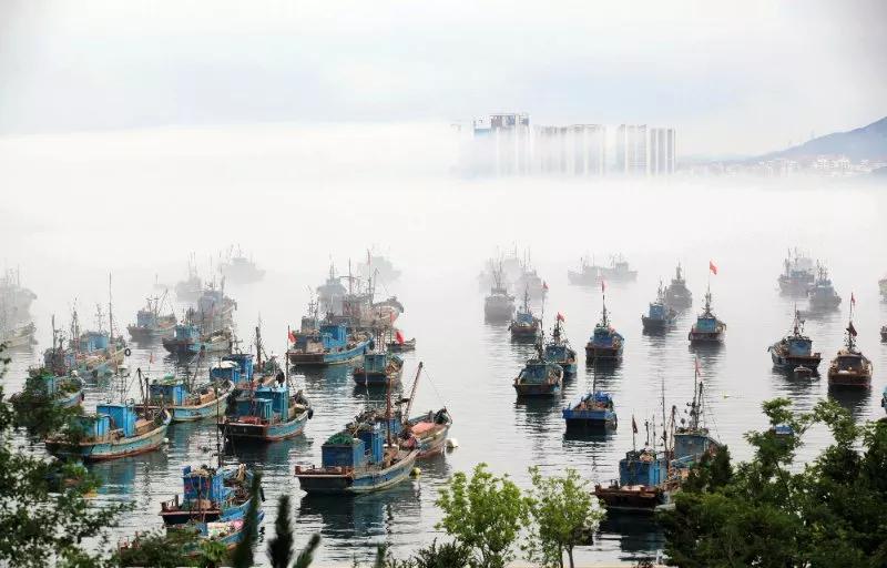 桓台、芝罘、上夼、郯城、莒县、单县...山东的这些地名你都会读吗？