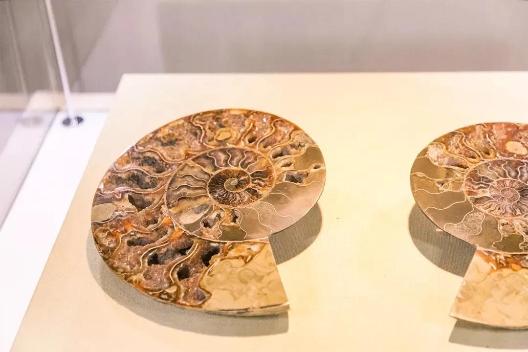 深圳免费十大打卡景点攻略,深圳凤凰城地铁站网红打卡