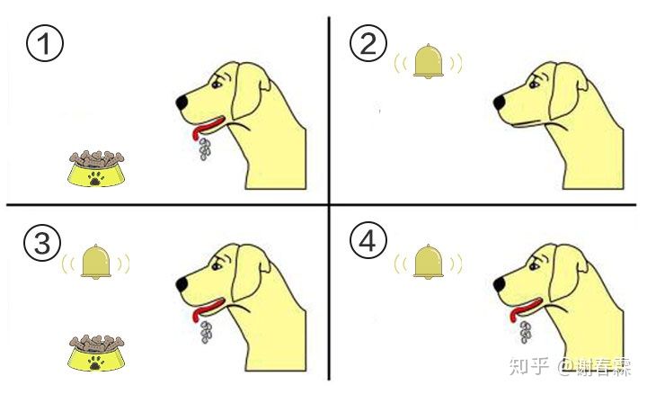 知识迭代与认知升级,通过自我迭代实现认知升级