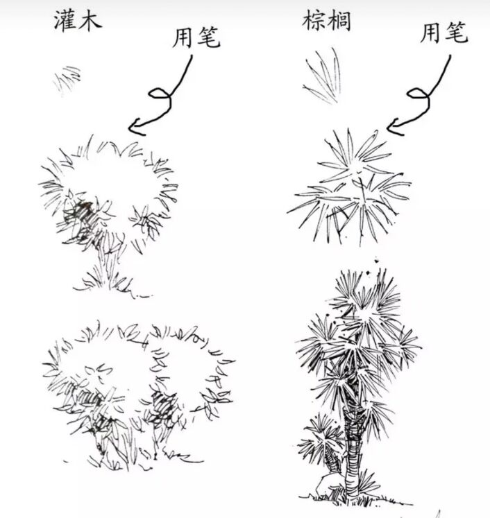 速写风景初学者入门教程炭笔,6-12岁儿童风景速写课程入门网课