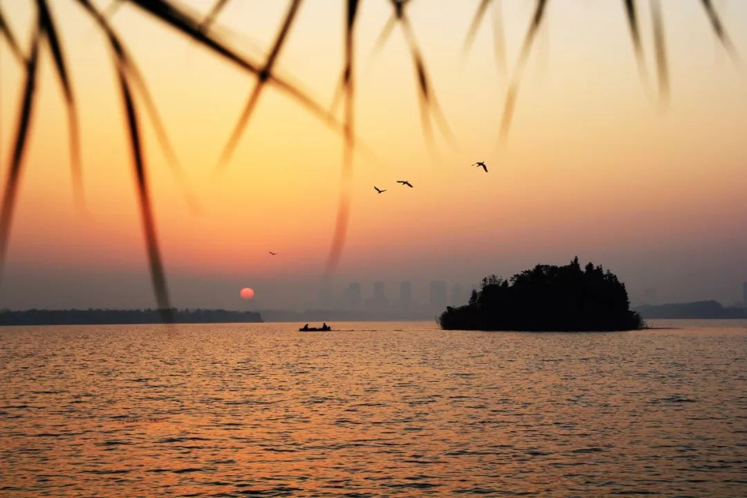 腹有诗书气自华语录,诗书气自华经典名句