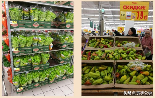 揭秘俄罗斯留学的物价,留学生在俄罗斯一个月多少钱