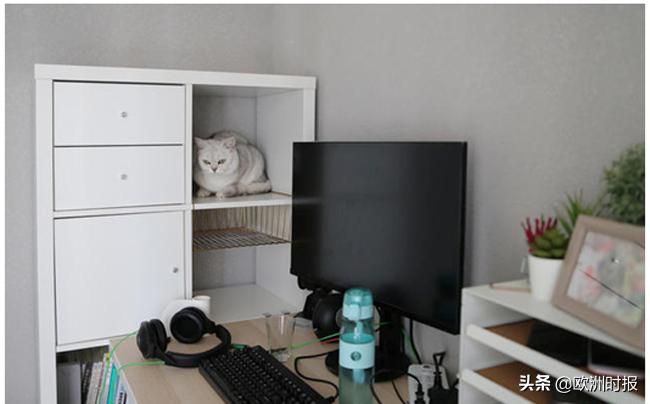 现在网红李子柒有多火,除了李子柒还有一个女网红