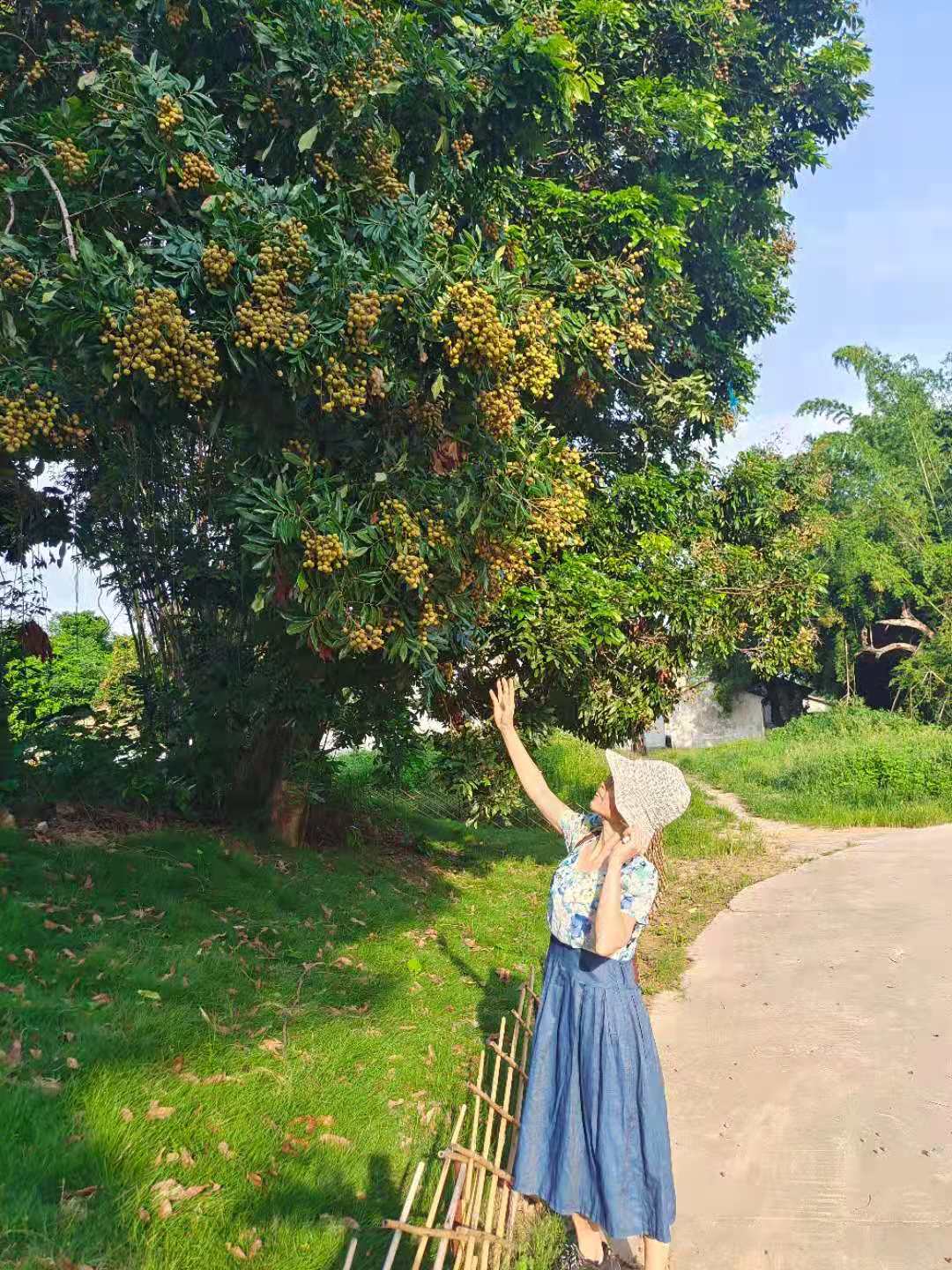 灏忓皬楦熷皬璇寸鍏珷,灏忓皬楦熺鍏珷鍏ㄦ枃闃呰