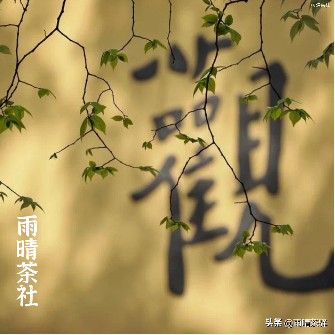 茶叶发酵和酿酒的区别,什么是茶叶发酵程度