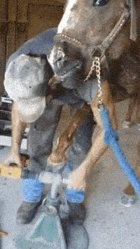 三个傻子跟我一块踢球gif,和两傻子在一起踢球gif