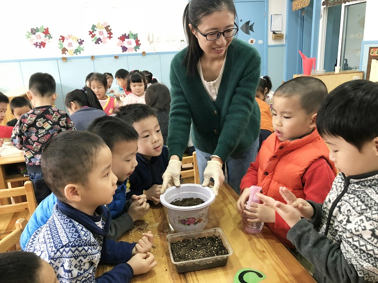 植物生病药怎么用,家里的植物病怎么治