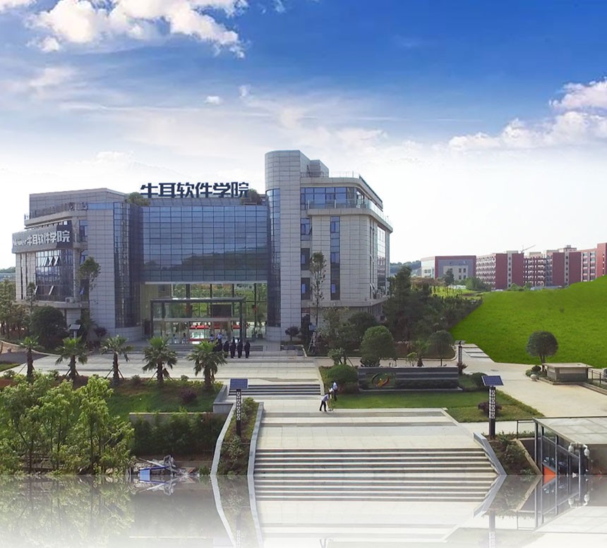 长沙牛耳软件学院有什么专业,长沙牛耳软件学院