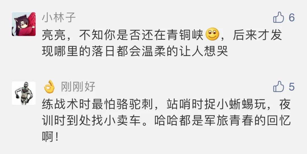 青铜峡中国军人,青铜峡黄河大峡谷军人免费吗