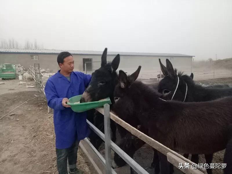 大学生李梦杰的创业记!第一集(原创)